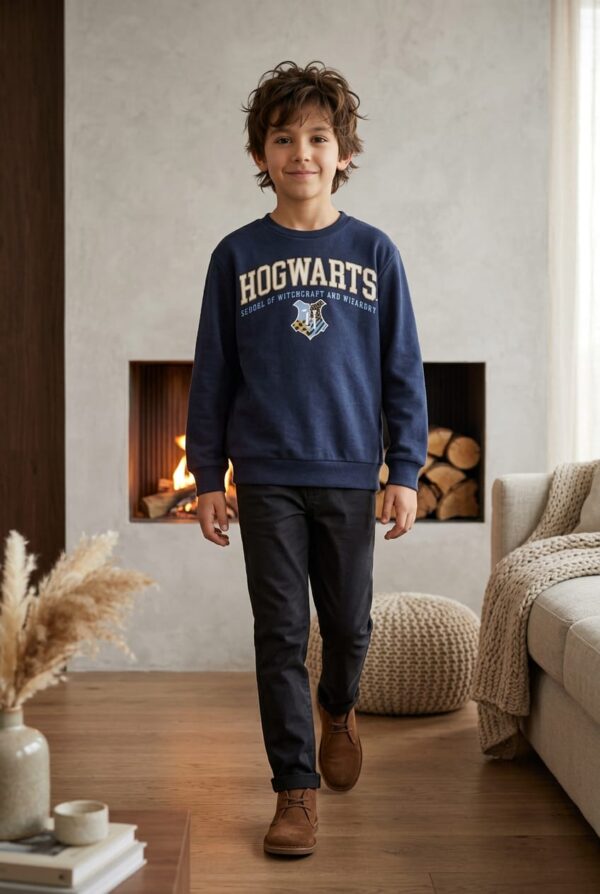 PRIMARK 2 Pull Harry potter primark