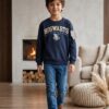 primark 1 Pull Harry potter primark
